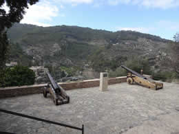 deia defence cannons
